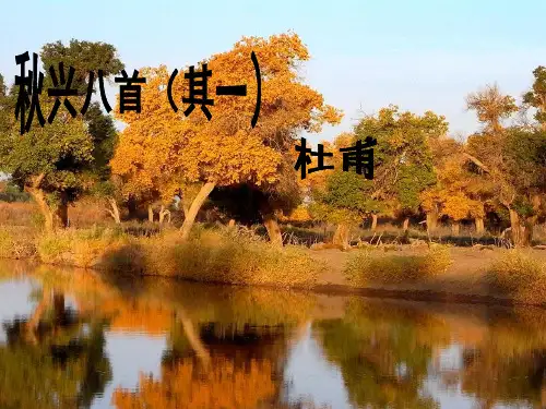 秋兴八首PPT课件116