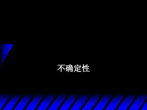 微观经济学课件：不确定性