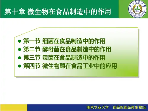 微生物在食品制造中的作用 ppt课件
