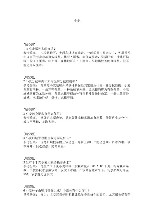 小麦试题