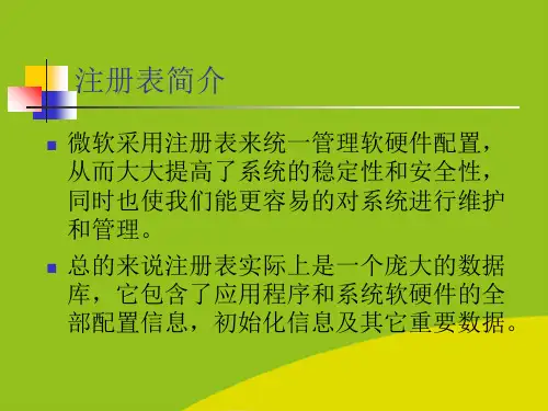 (推荐)注册表学习精选PPT