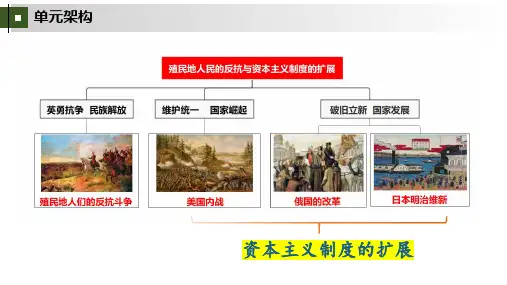 第1课 殖民地人民的反抗斗争  课件