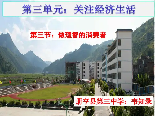 湖南师大版八年级上册道德与法治：第一节 关注经济生活
