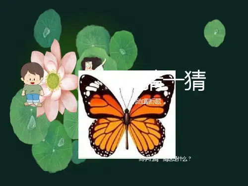 小学数学轴对称图形