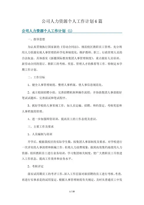 公司人力资源个人工作计划6篇
