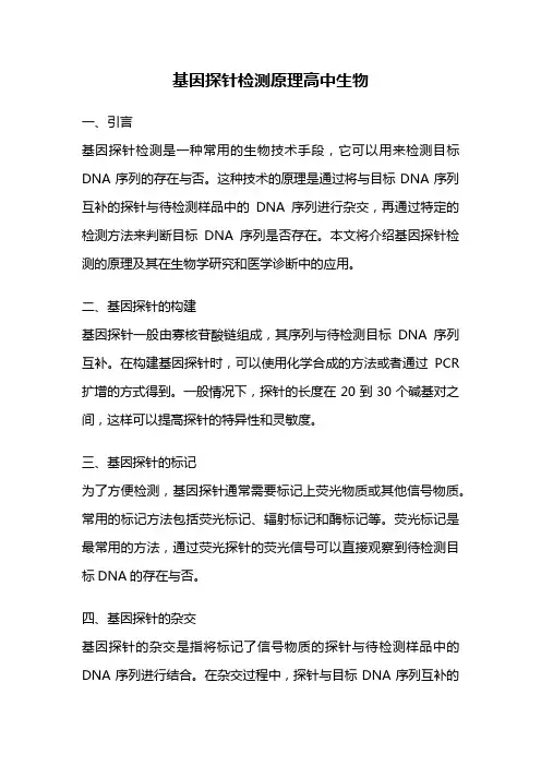 基因探针检测原理高中生物