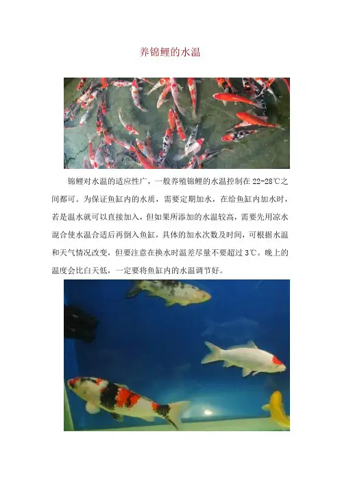 养锦鲤的水温