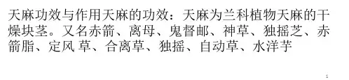 天麻的功效与作用PPT参考幻灯片