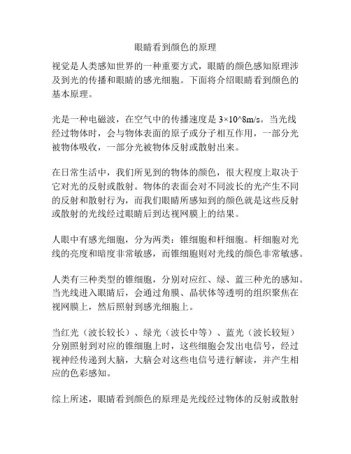 眼睛看到颜色的原理