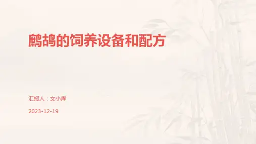 鹧鸪的饲养设备和配方