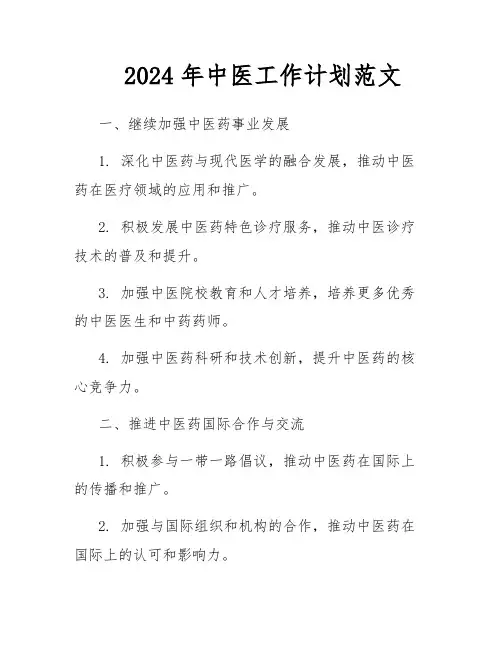 2024年中医工作计划范文