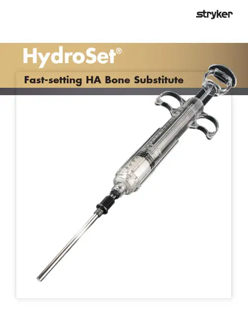 HydroSet快速凝固高钙酸盐骨质代胞说明书