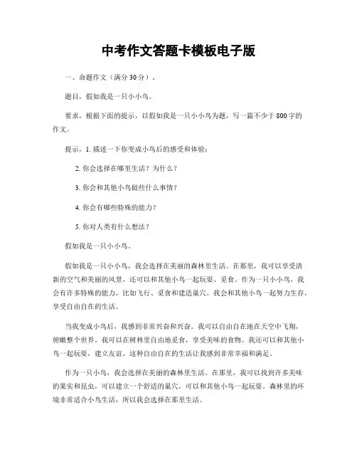 中考作文答题卡模板电子版