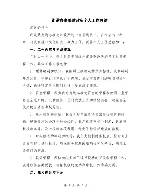街道办事处财政所个人工作总结