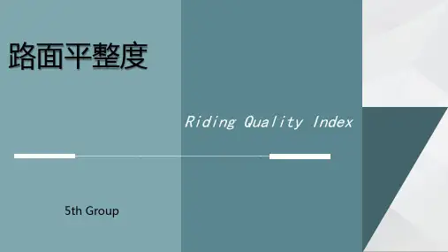 道路检测路面行驶质量指数RQI
