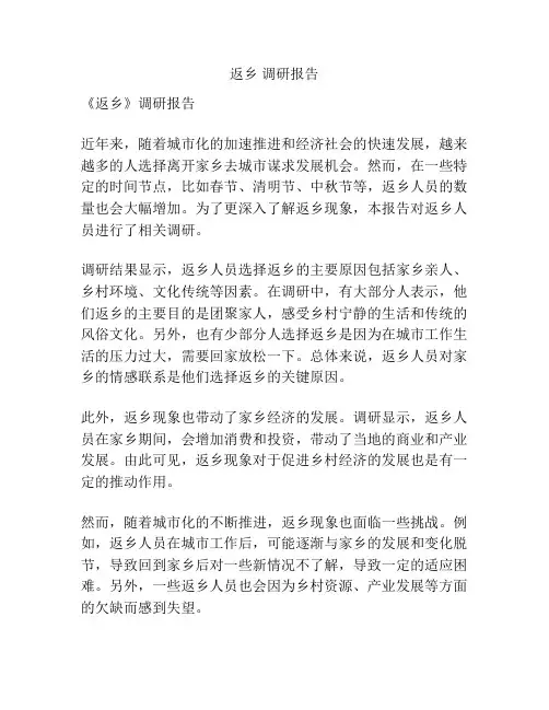 返乡 调研报告