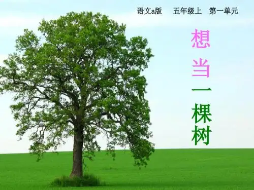 想当一棵树课件语文语文A版版五年级上册