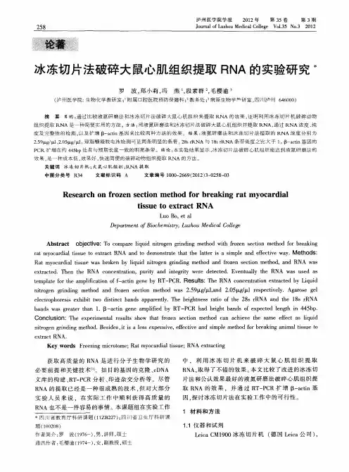 冰冻切片法破碎大鼠心肌组织提取RNA的实验研究