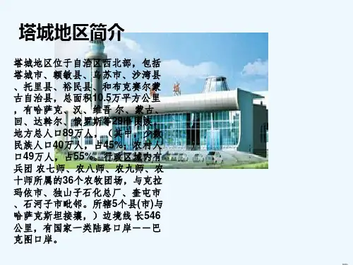 塔城地区的区域分析及规划