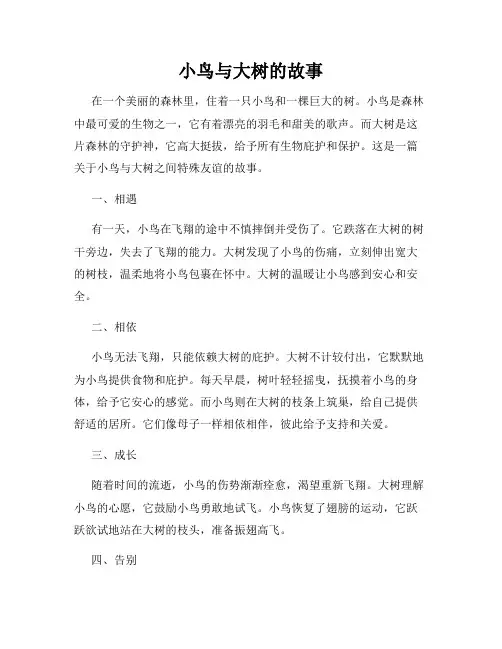 小鸟与大树的故事