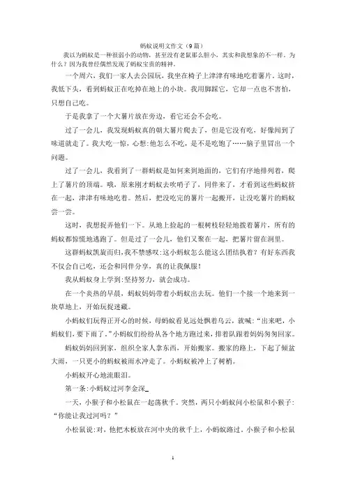 蚂蚁说明文作文(9篇)