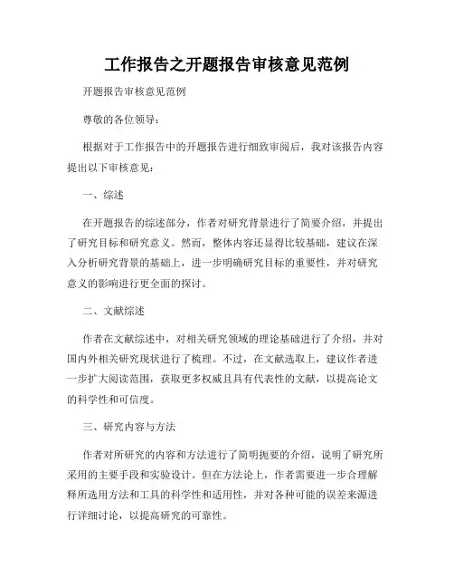 工作报告之开题报告审核意见范例