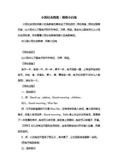 幼儿园小班社会教案：观察小白兔