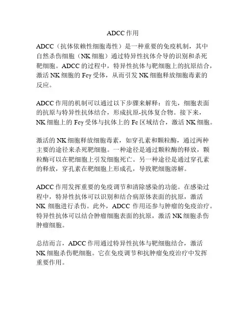 ADCC作用