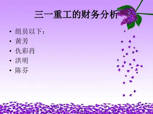 三一重工财务报表分析