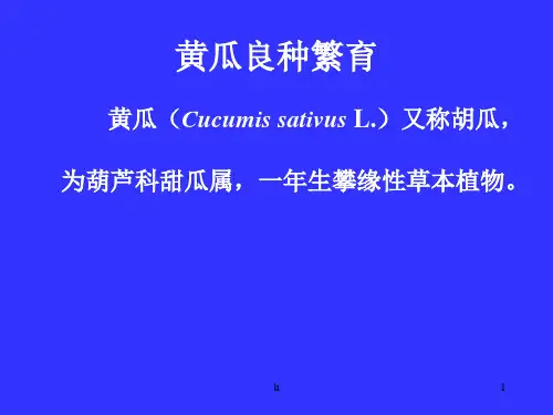 《良种繁育》PPT课件