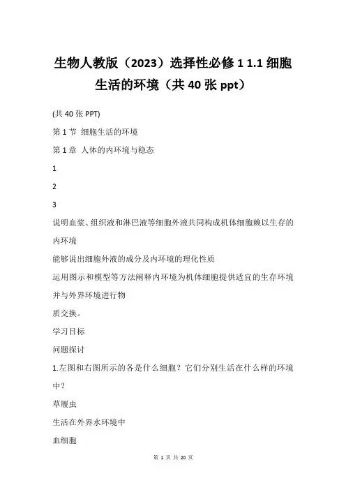 生物人教版(2023)选择性必修1 1.1细胞生活的环境(共40张ppt)