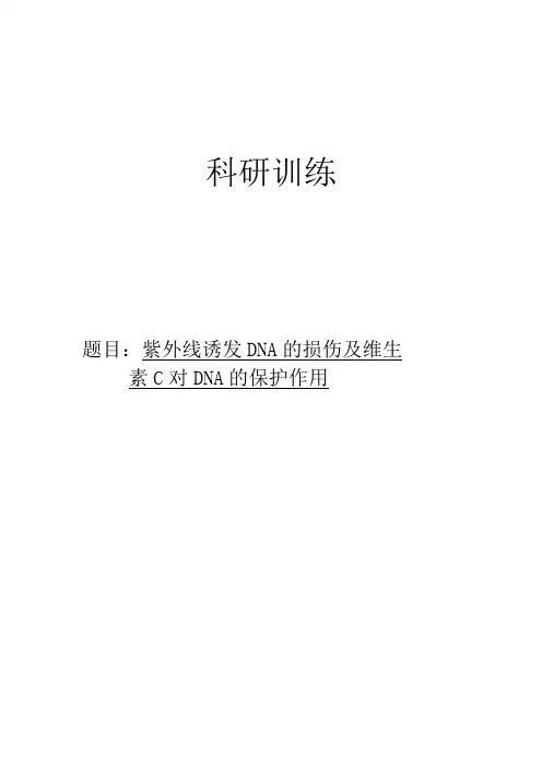 紫外线诱发DNA的损伤及维生素C对DNA的保护作用