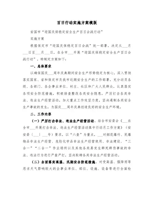 百日行动实施方案模版(3篇)