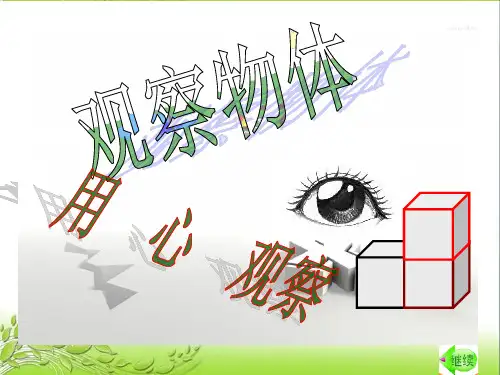 观察物体1 公开课课件