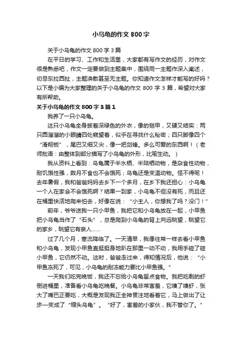 关于小乌龟的作文800字3篇