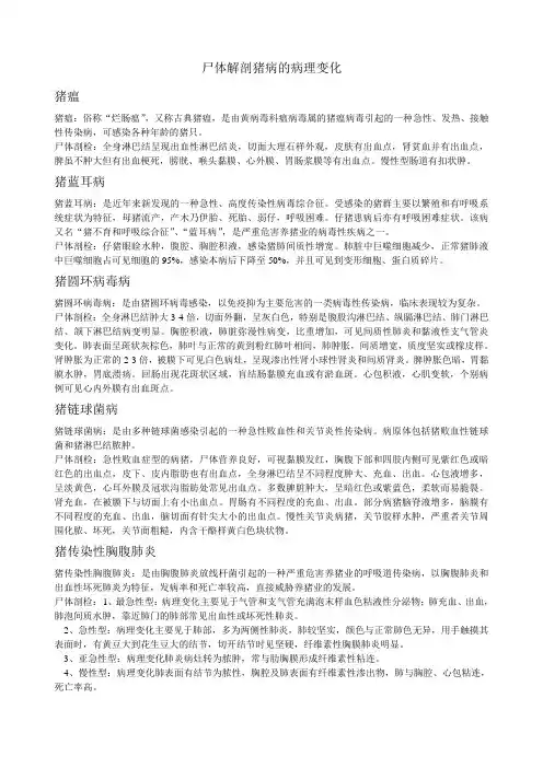 病理实验资料