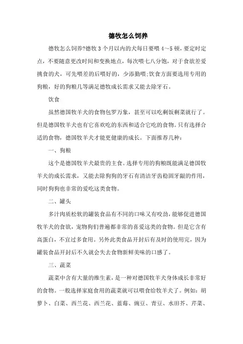 德牧怎么饲养