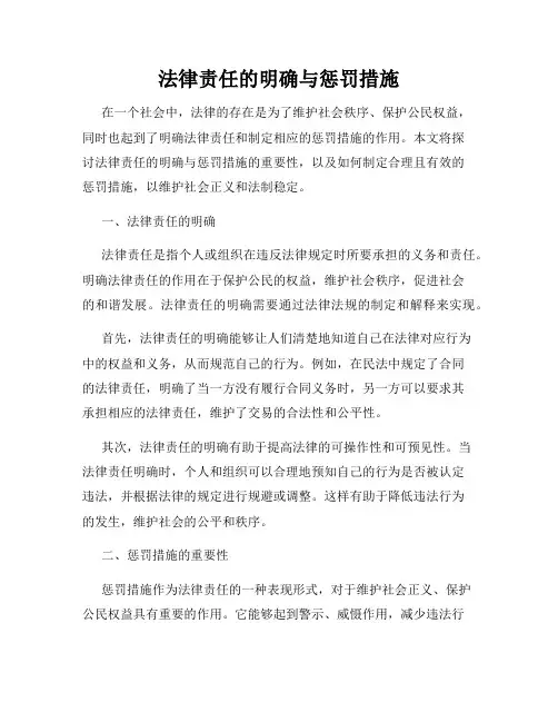 法律责任的明确与惩罚措施