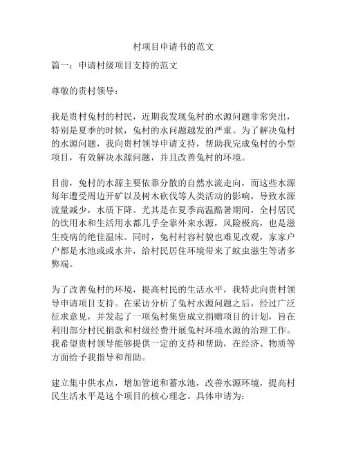 村项目申请书的范文