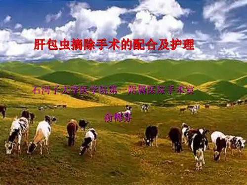 肝包虫
