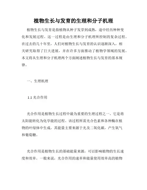 植物生长与发育的生理和分子机理
