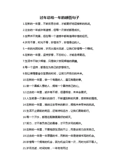 过年总结一年的感悟句子-概述说明以及解释