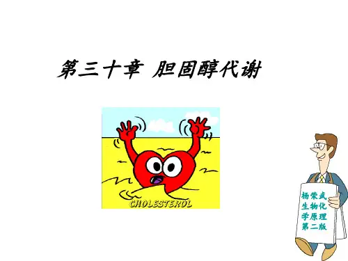 第三十章 胆固醇代谢