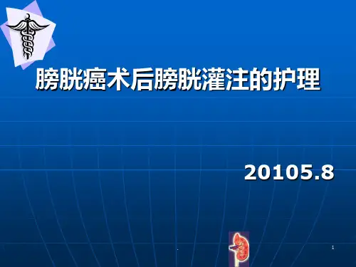 膀胱癌术后膀胱灌注的护理ppt课件