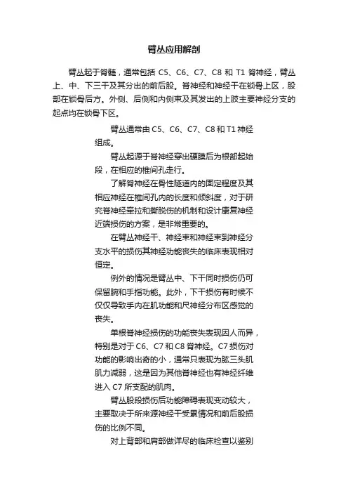 臂丛应用解剖