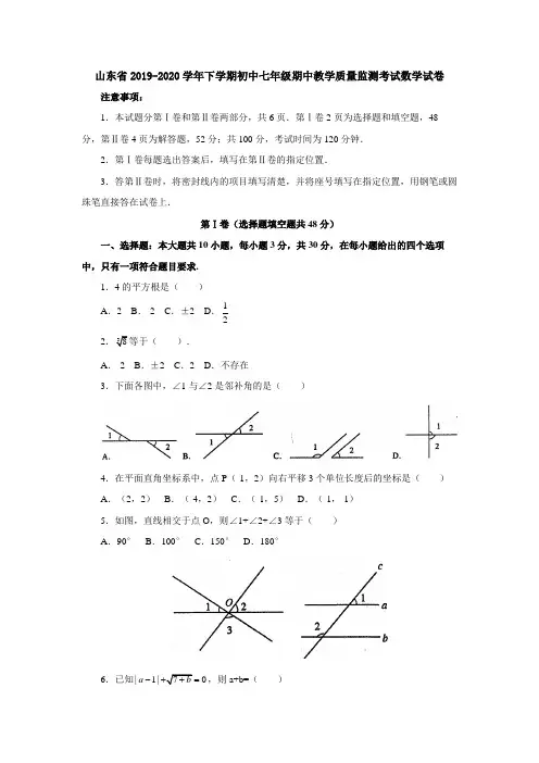 山东省2019-2020学年下学期初中七年级期中教学质量监测考试数学试卷1(含答案解析)