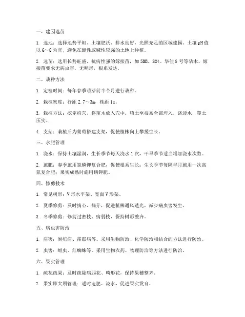 阳光玫瑰葡萄种植管理技术