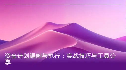 资金计划编制与执行：实战技巧与工具分享