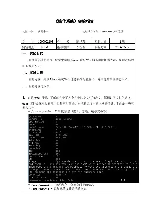 操作系统实验11 Linux proc文件系统