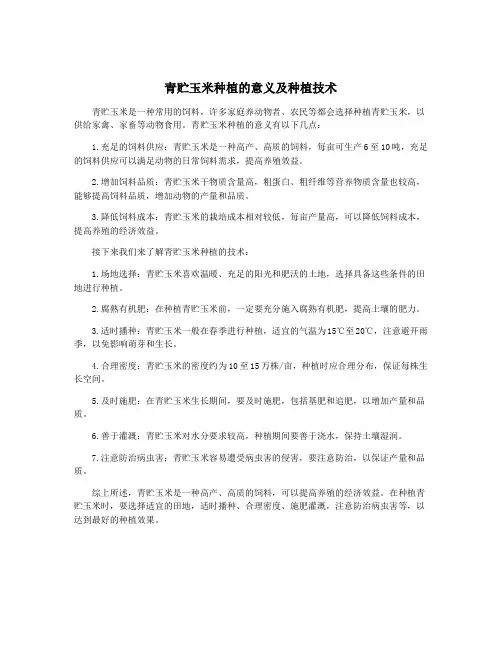 青贮玉米种植的意义及种植技术